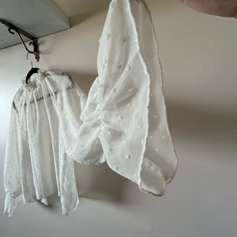 White Ruffled Sheer Collar Blouse - Picture 3 of 3